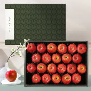 갤러리아 [오늘아침사과] 사과 선물세트 5kg 22과