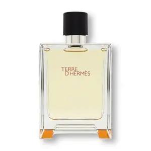 [에르메스]에르메스 떼르 데르메스 EDT 100ml