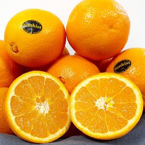 썬키스트/퓨어스펙 블랙라벨 오렌지 대과 72과(개당230g내외)