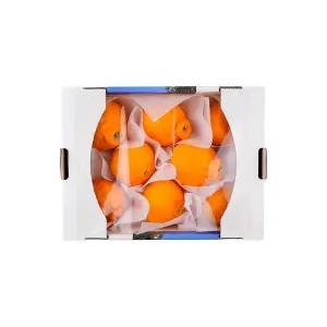 저탄소인증 한라봉 2kg/박스