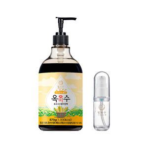 별하수 옥수수 수염차 진액 870g + 휴대용기, 1개