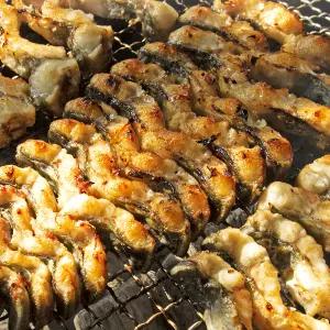 국내산 자포니카 민물장어 1kg 2미/양념소스+초생강 증정