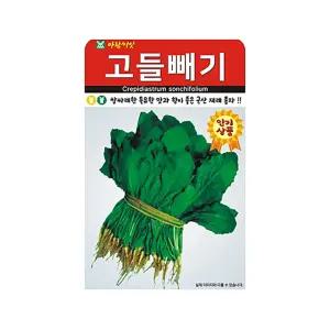 고들빼기 씨앗 3000립 꼬들빼기 김치 나물 국산 재래종 종자