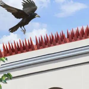 실외기비둘기 버드스파이크 비둘기퇴치용품 조류용품 비둘기방충망 비둘기퇴치법