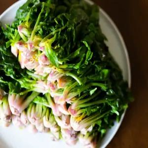 남해군농협 시금치 남해 보물초 500g 무 료 배 송 신선한 노지 겨울시금치 남해군