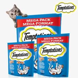 템테이션 메가팩 담백한 연어(160g) 10개