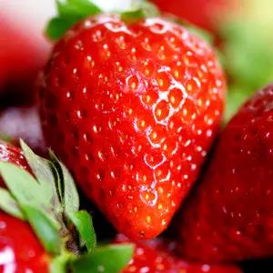 신선함 담은 청원생명 설향 딸기 1kg 30개