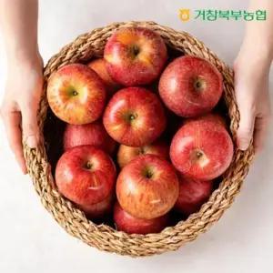 [특등급] 거창북부농협 부사 4kg (215~250g / 16~19과)