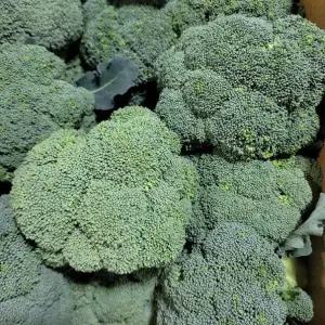 브로콜리 제주도 브로콜리 4kg 발품장터