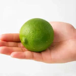 멕시코 생 라임 1.8kg (17-20입)