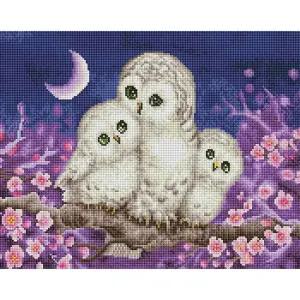 행복한 부엉이 가족 (캔버스) 보석십자수 40x50 보석십자수