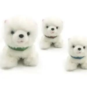 목띠구분줄 개부직포목줄 반려견목띠 애완동물구분목걸이12P (WFJ0K5M)