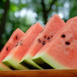 겨울 하우스수박 당도선별 산지출하