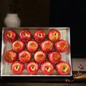 프리미엄/사과5kg(15~16과)/명절과일선물세트