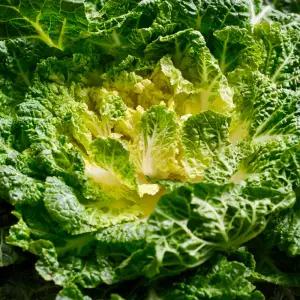 국내산 제철 봄동 5kg 노지 배추 / 산지직 송연구소