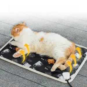 고양이 전기 장판 작은 겨울