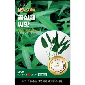 베스트 공심채 씨앗 150립 비타민 섬유질 풍부한 동남아 채소 공심채씨 종자