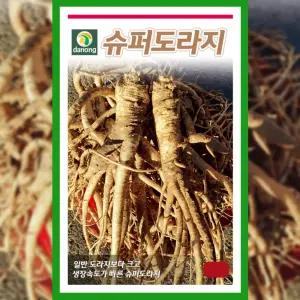 슈퍼 도라지 씨앗 5g 텃밭 종자 토속 약초 채소 산채 나물