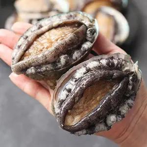 [NS홈쇼핑]완도 활 전복 1kg 8-9미[35613123]