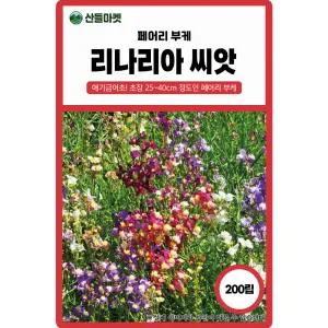 리나리아 씨앗 200립 페어리 부케 금어초 모양의 일년생 꽃씨 종자