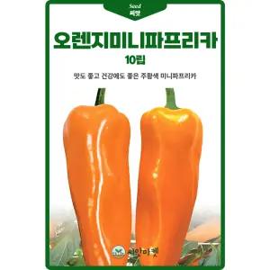다농 오렌지미니 파프리카 씨앗 10립 파프리카씨 종자