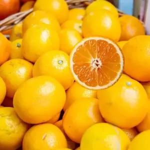 jeju 맛있는 감귤나라 감귤 10KG 중대과 (L-2L)