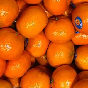 만다린 오렌지 신선한 새콤달콤 수입귤 1kg10과내외 / 산지직 송연구소