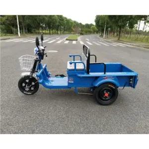 강력한 농업용 전동 삼륜차 운반차 경운기 대체 삼륜 바이크 평지용 소형 배터리 충전기