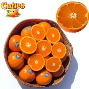 큐티스 미국 만다린 감귤 프리미엄 귤 1/2/4kg 썬키스트 필즈