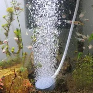 수족관 기포기 공기돌 에어 산소 어항 기포기 펌프 물고기 여과기 장식 생활 용품 순환