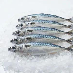 국내산 바다 자반 고등어 고갈비 구이용 조림용 진공 자반 고등어 10미 (중 대)