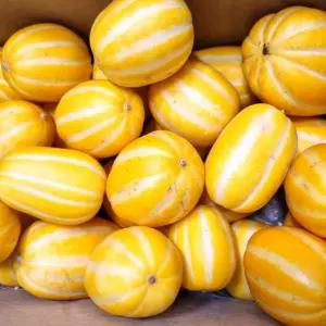 특품 성주 꿀가득 참외 5kg 로얄중과(15-20과)