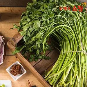 [우체국쇼핑] 입맛 돋우는 향긋한 세척 미나리 1kg/2kg/4kg