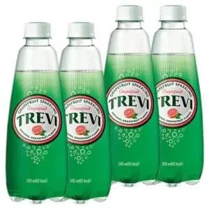 트레비 롯데 자몽 x 300ml 40PET (20펫x2박스)