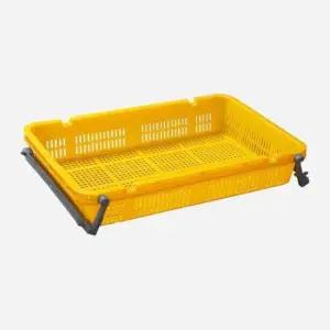 블루베리 어상자 소 5개/시장 바구니 농산물 운반상자