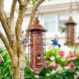 야외용 소박한 금속 걸이 새 모이통 뒷마당 파티오 현관을 위한 보호 케이지와 농기구가 있는 내후성 야생