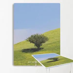 MP 집들이선물추천 원룸 거실 그림 액자 겸용 접이식 좌식 테이블 29-나홀로나무