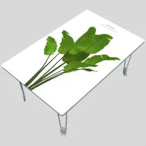 MP 집들이선물추천 원룸 거실 그림 액자 겸용 접이식 좌식 테이블 베스트 001-열대의 초록