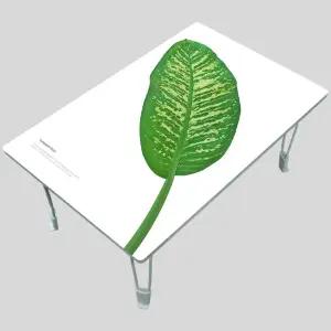 MP 집들이선물추천 원룸 거실 그림 액자 겸용 접이식 좌식 테이블 베스트 019-무늬의 우아함