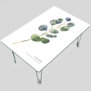 MP 집들이선물추천 원룸 거실 그림 액자 겸용 접이식 좌식 테이블 베스트 035-유칼립투스 여운