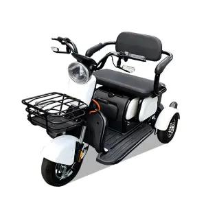 어르신 배달용전동차 디지털 계기판 3륜전동차 이동보조