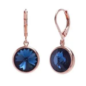 10mm 크리스탈 레버백 귀걸이 몬타나 로즈골드 WFFIK4Y