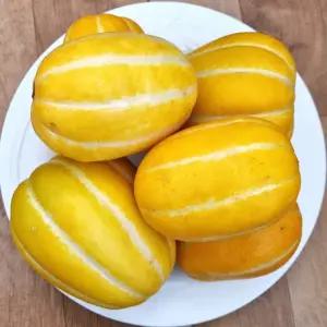 고당도 성주 꿀가득 참외1kg 가정용랜덤과(3-8개)/못난이