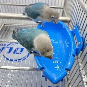 새장부착 앵무새 물놀이통 먹이그릇 겸용 새용품 조류목욕 케이지걸이 블루 투명