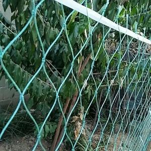 조류 그물  과수원 정원 닭장  가금류  번식 나일론 녹색워터고기 연못  동물 방지