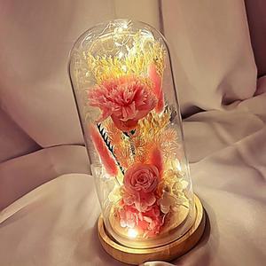 2송이 무드등 핑크 꽃 어버이날설물 스승의날선물 카네이션 장미 프리저브드 유리돔 시들지않는 KWFHPNQT