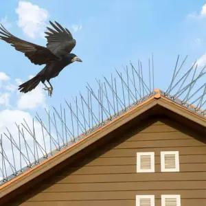 조류퇴치 버드스파이크 12set 스텐 블럭 비둘기