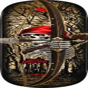 파월 페랄타 잭 도링 아처 플라이트 스케이트보드 데크 골드 호일 8.30인치 x 31.61인치