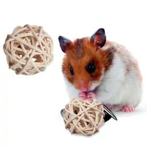 장난감 햄스터 골든햄스터햄스터먹이 앵무새 등나무공 햄스터놀이터