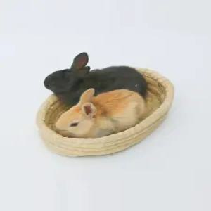 닭 산란통 둥지 방수 알집 이동식장 알낳는집 병아리